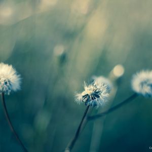 Lightroom CC Lezioni